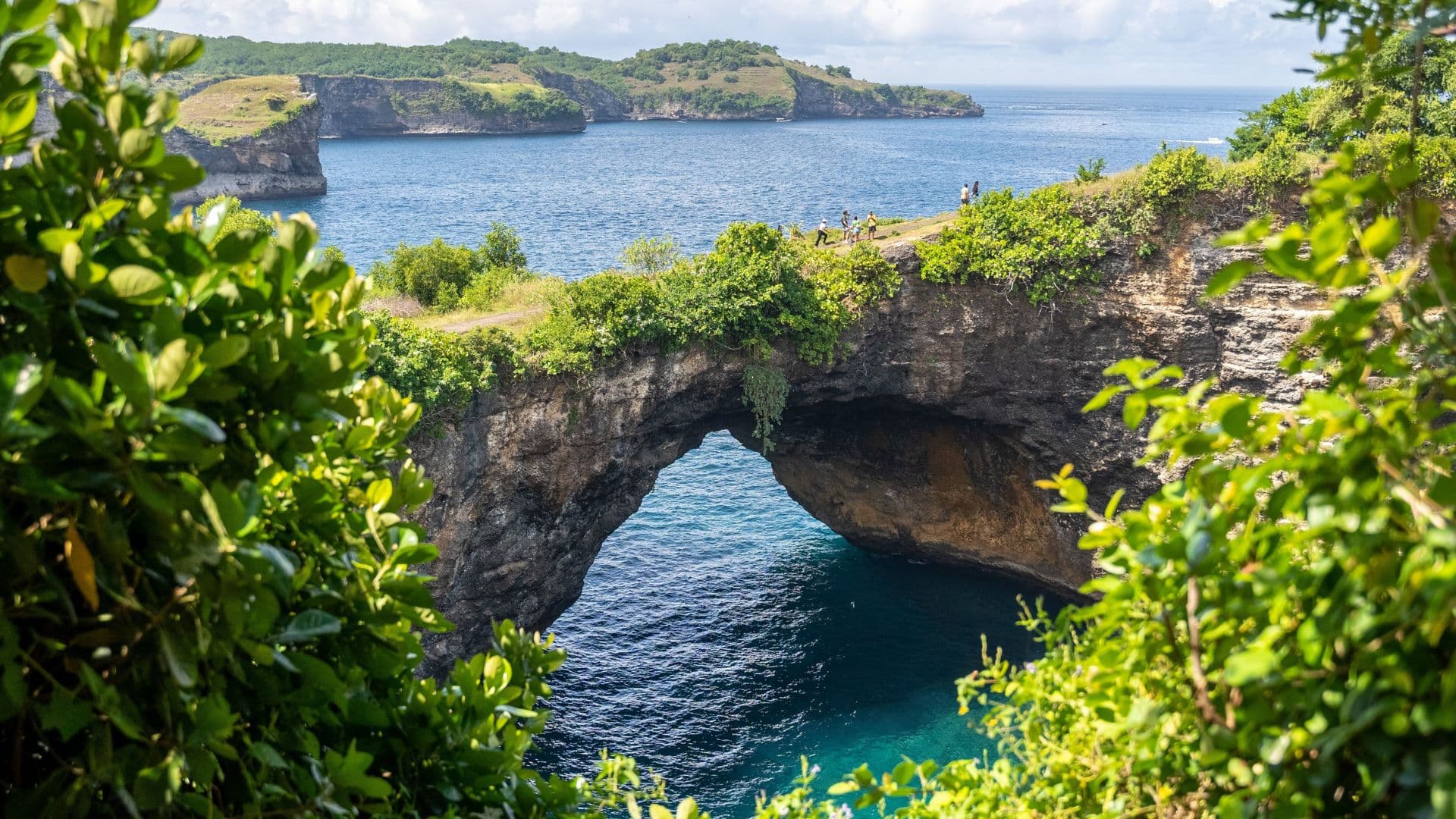 Private Marine Excursions