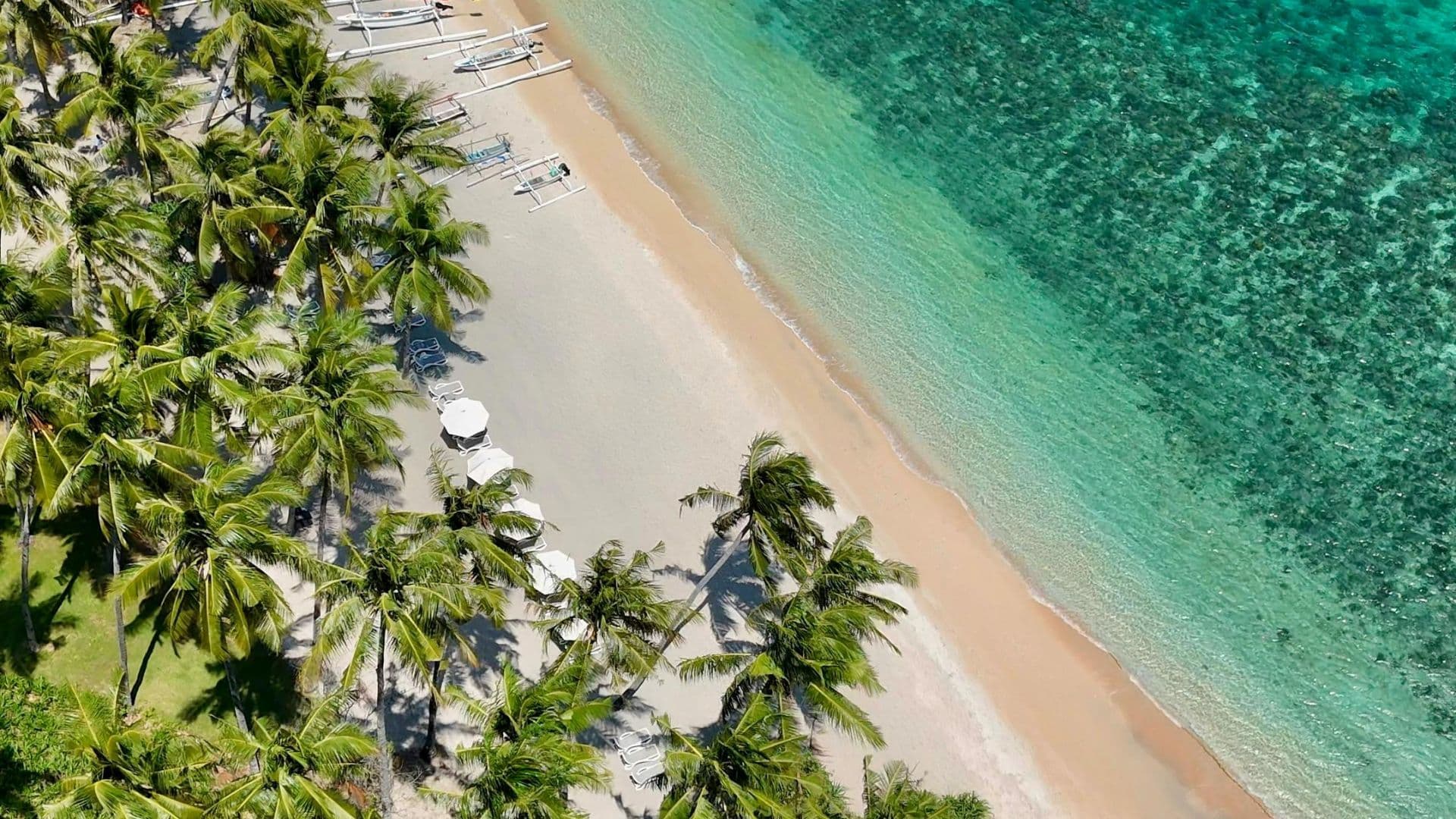 Island Inspiration 7