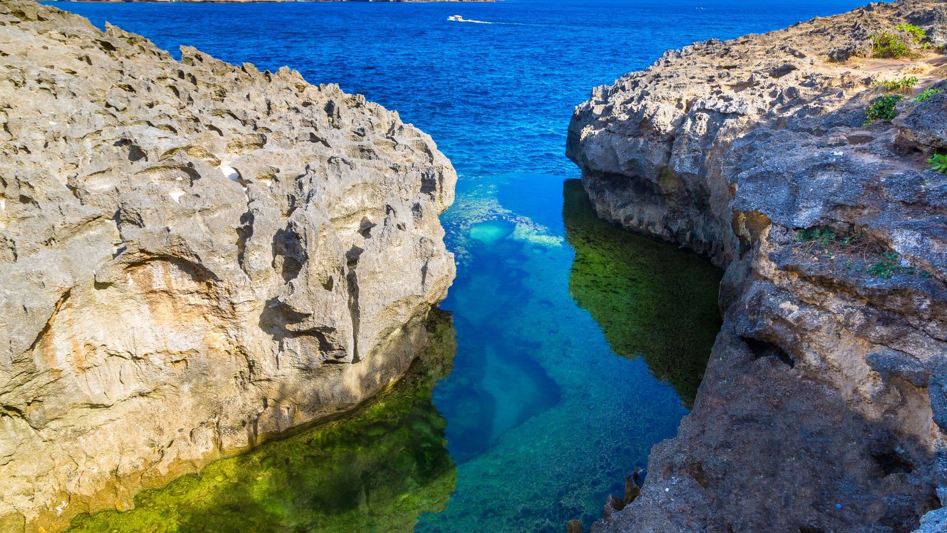 Island Inspiration 10